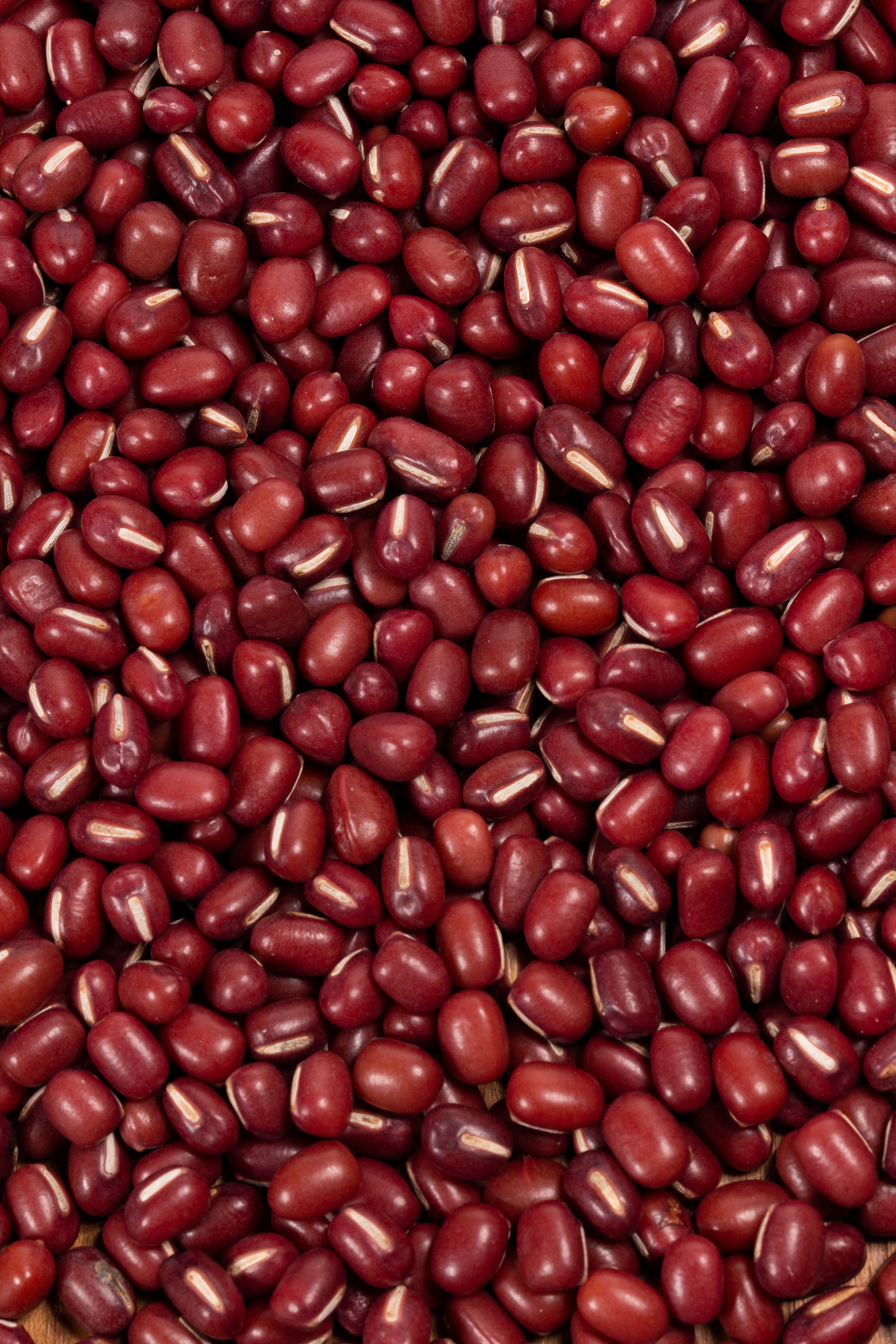soja roja adzuki