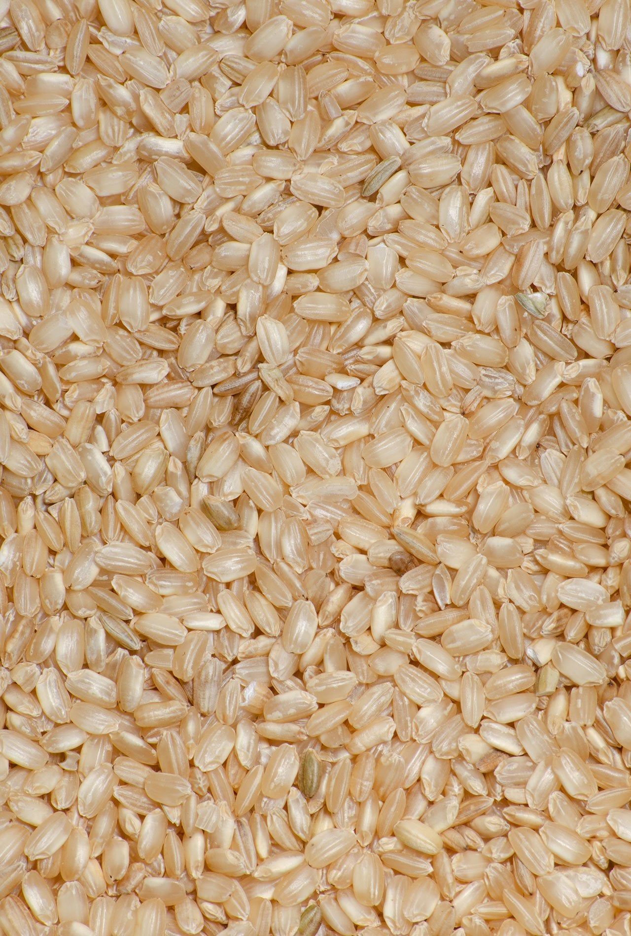 arroz integral ECO