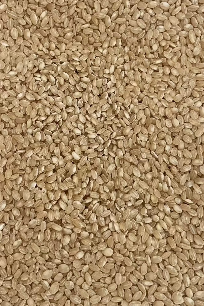 Pals Brown Rice