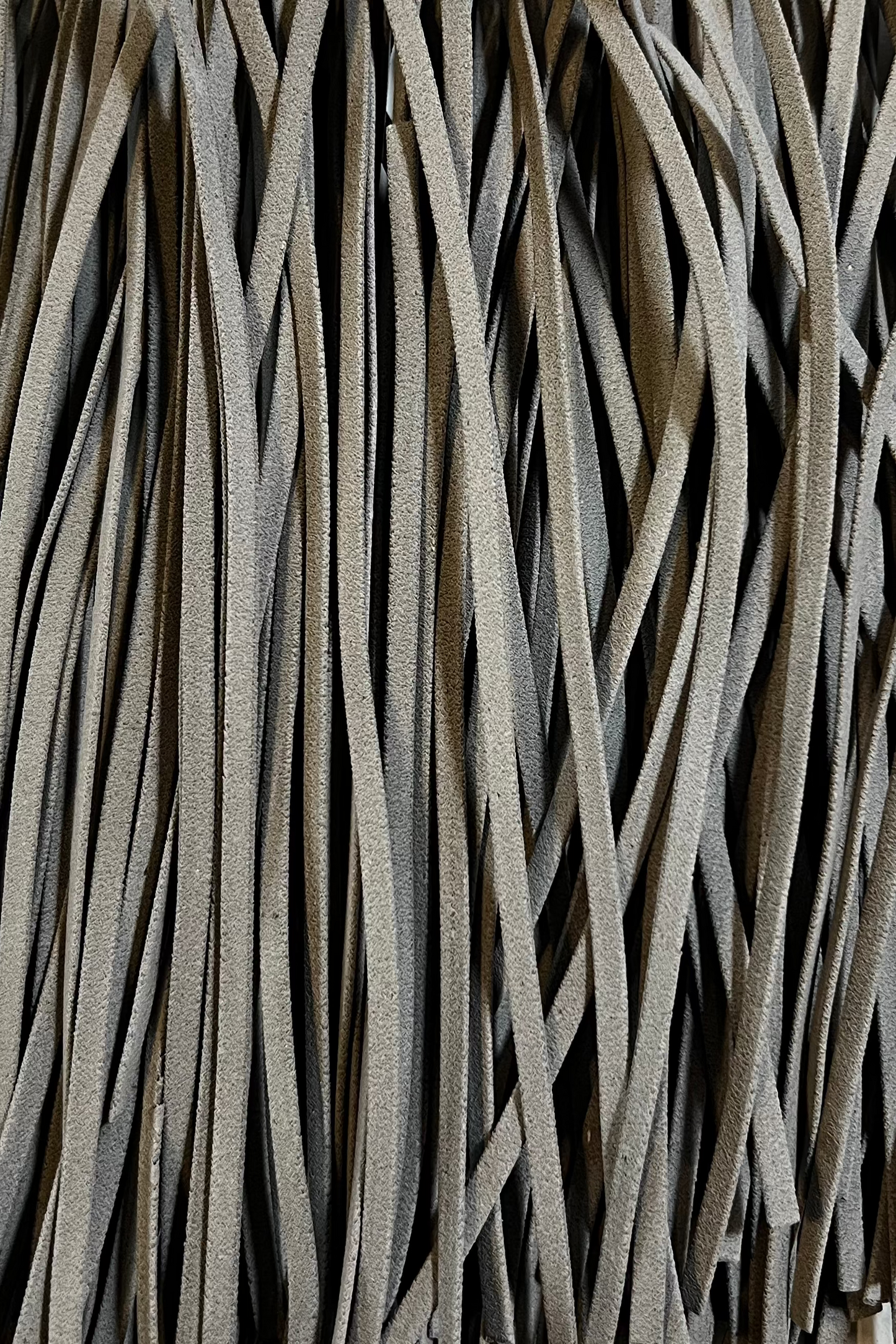 Organic squid ink noodles