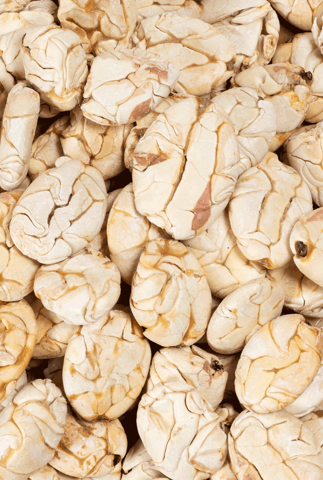 Conoce el Macambo: El Superalimento Amazónico que te encantará