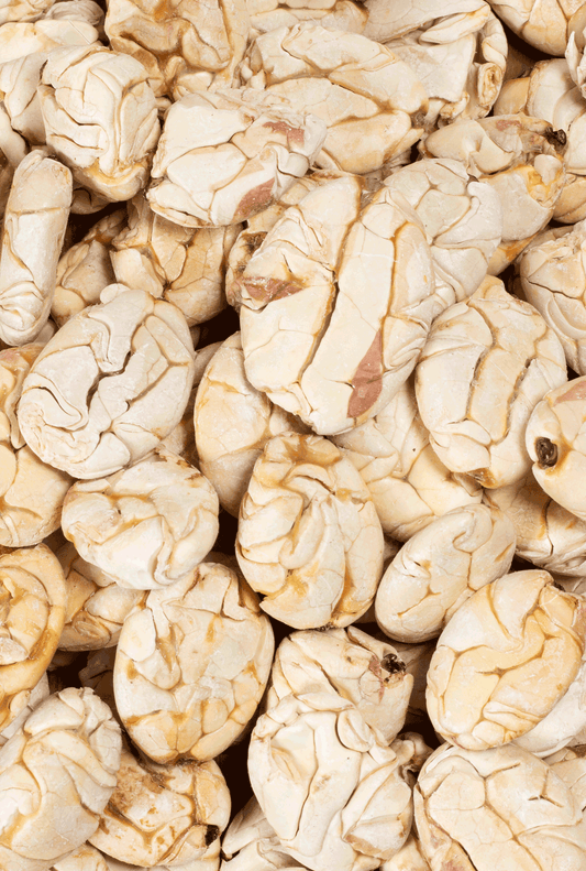 Conoce el Macambo: El Superalimento Amazónico que te encantará