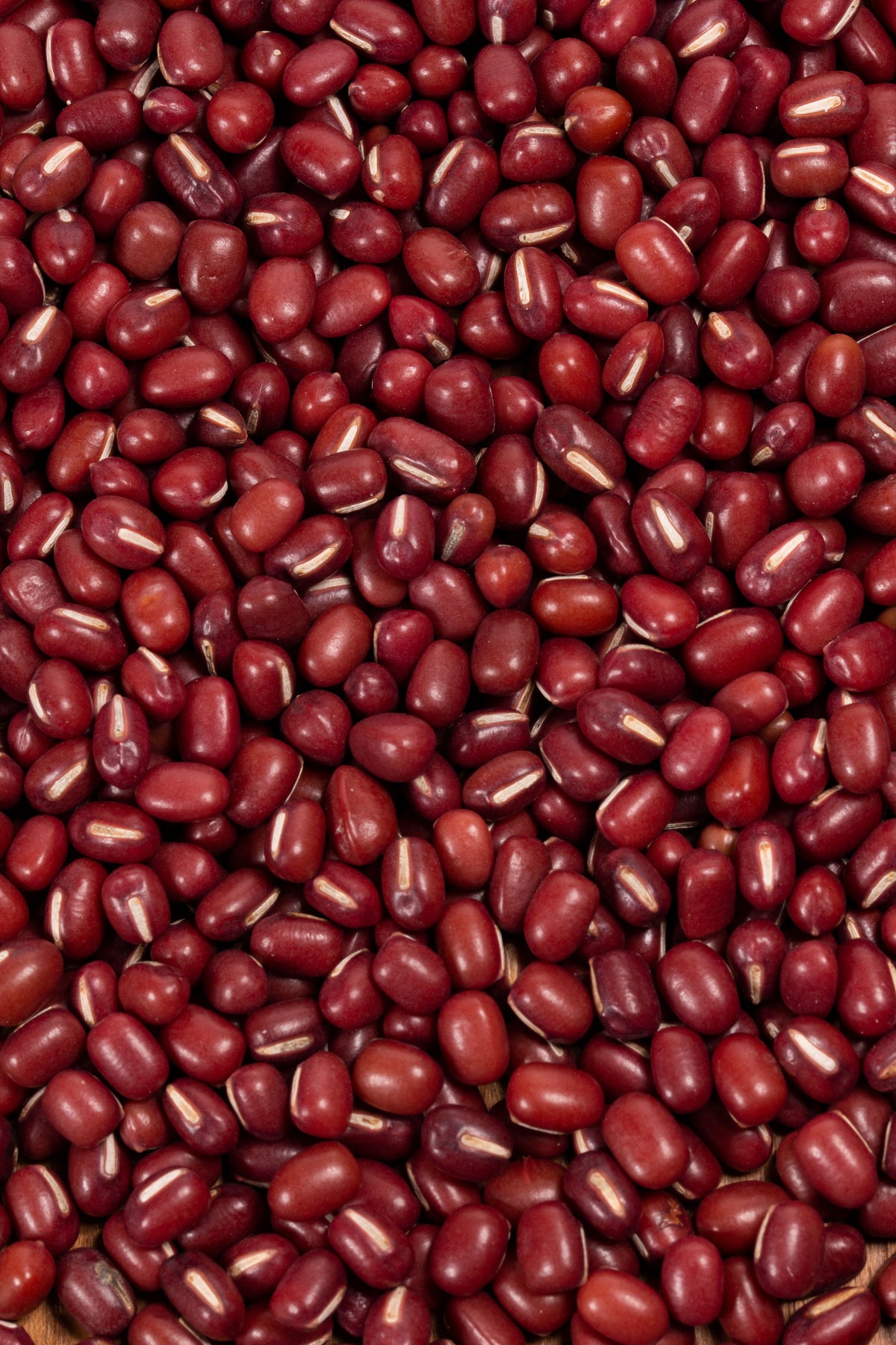 soja roja adzuki