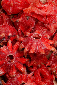 flor hibisco
