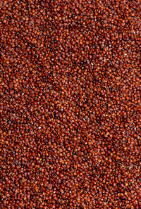 quinoa roja