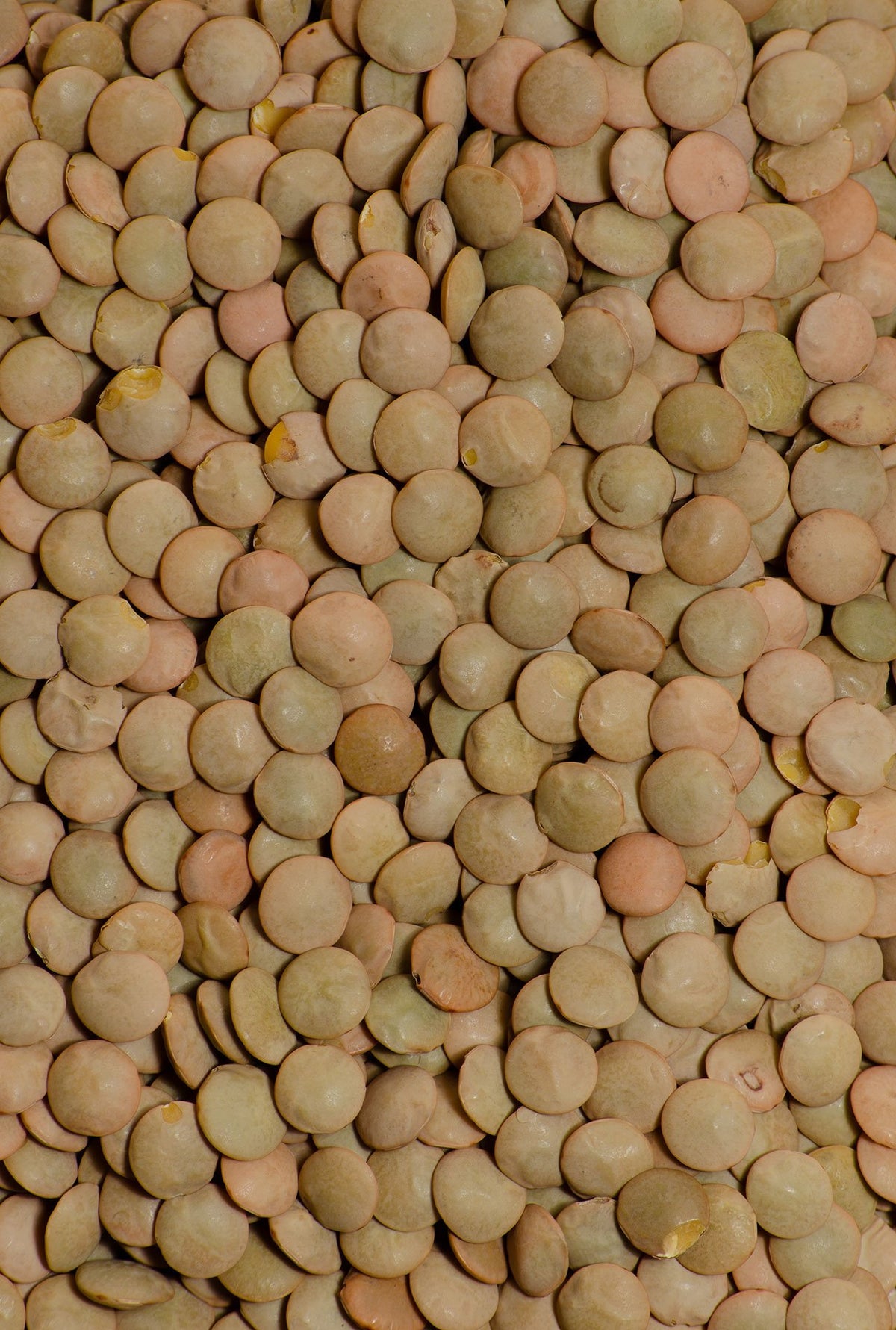 224