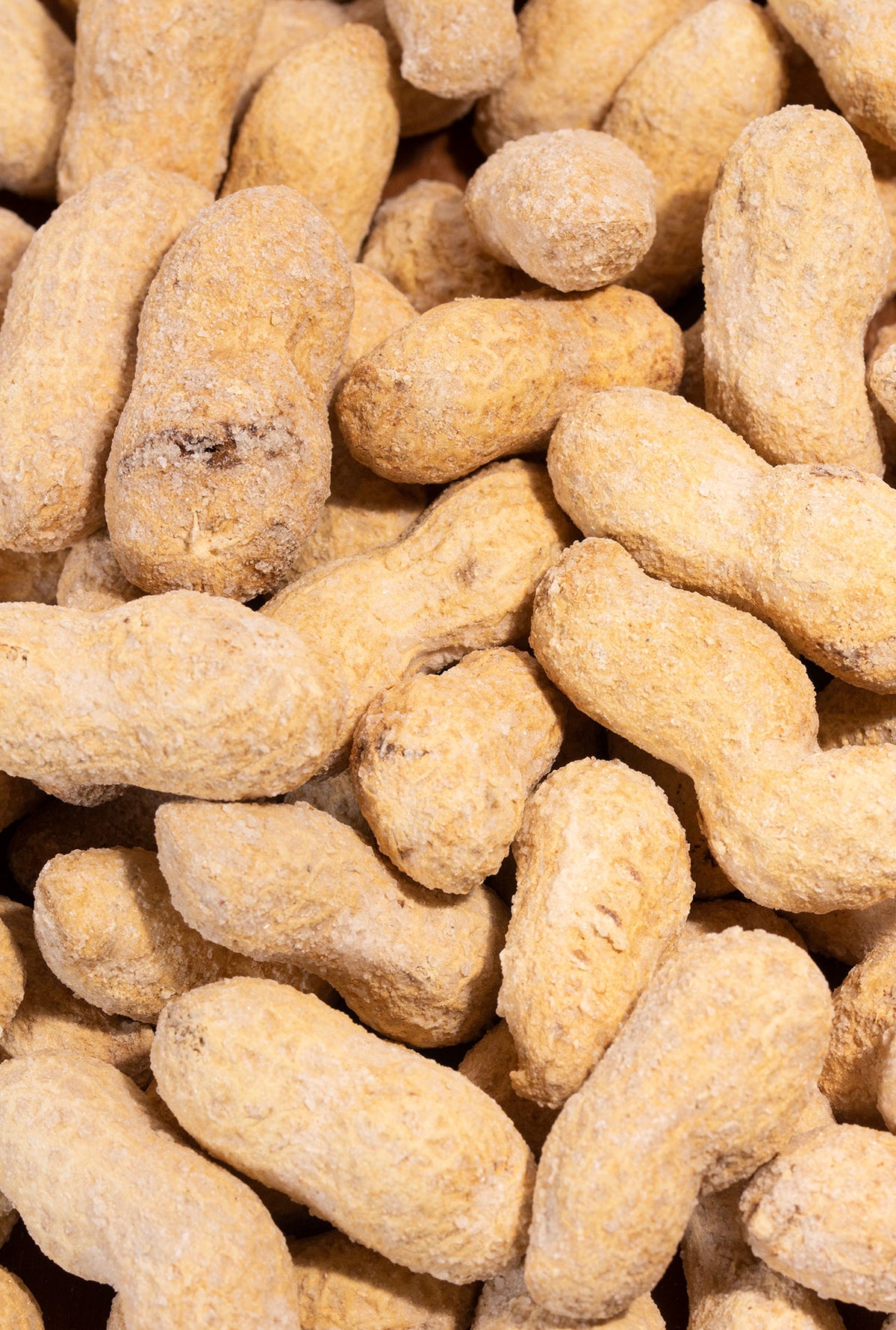 Roasted peanuts with shell and salt