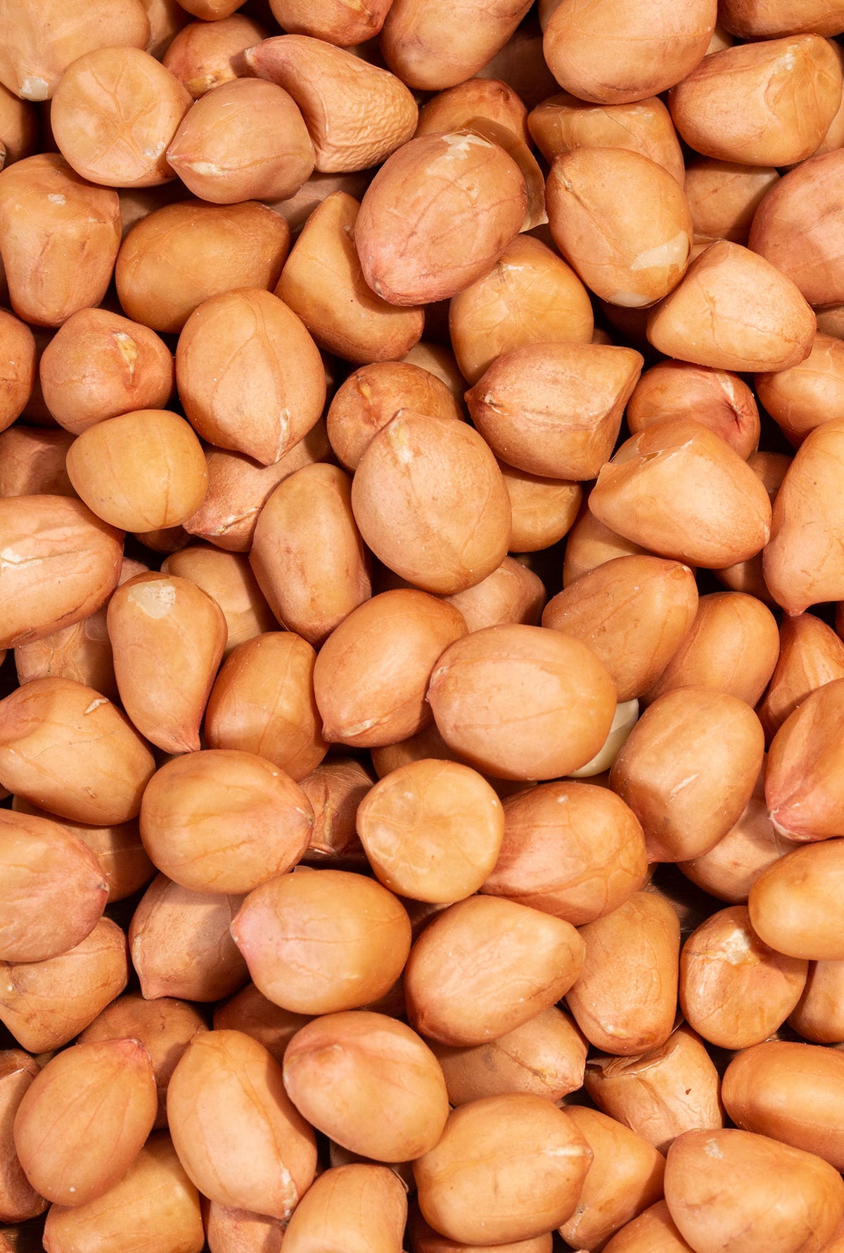 Raw peanut with skin