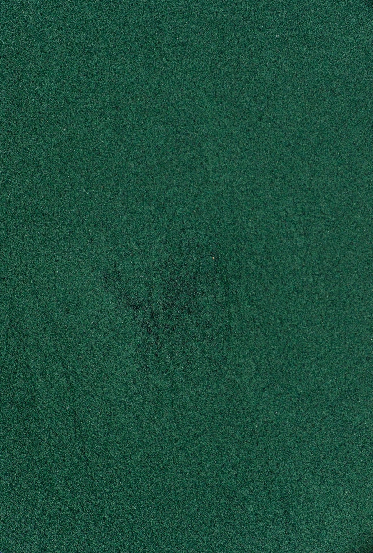 espirulina polvo