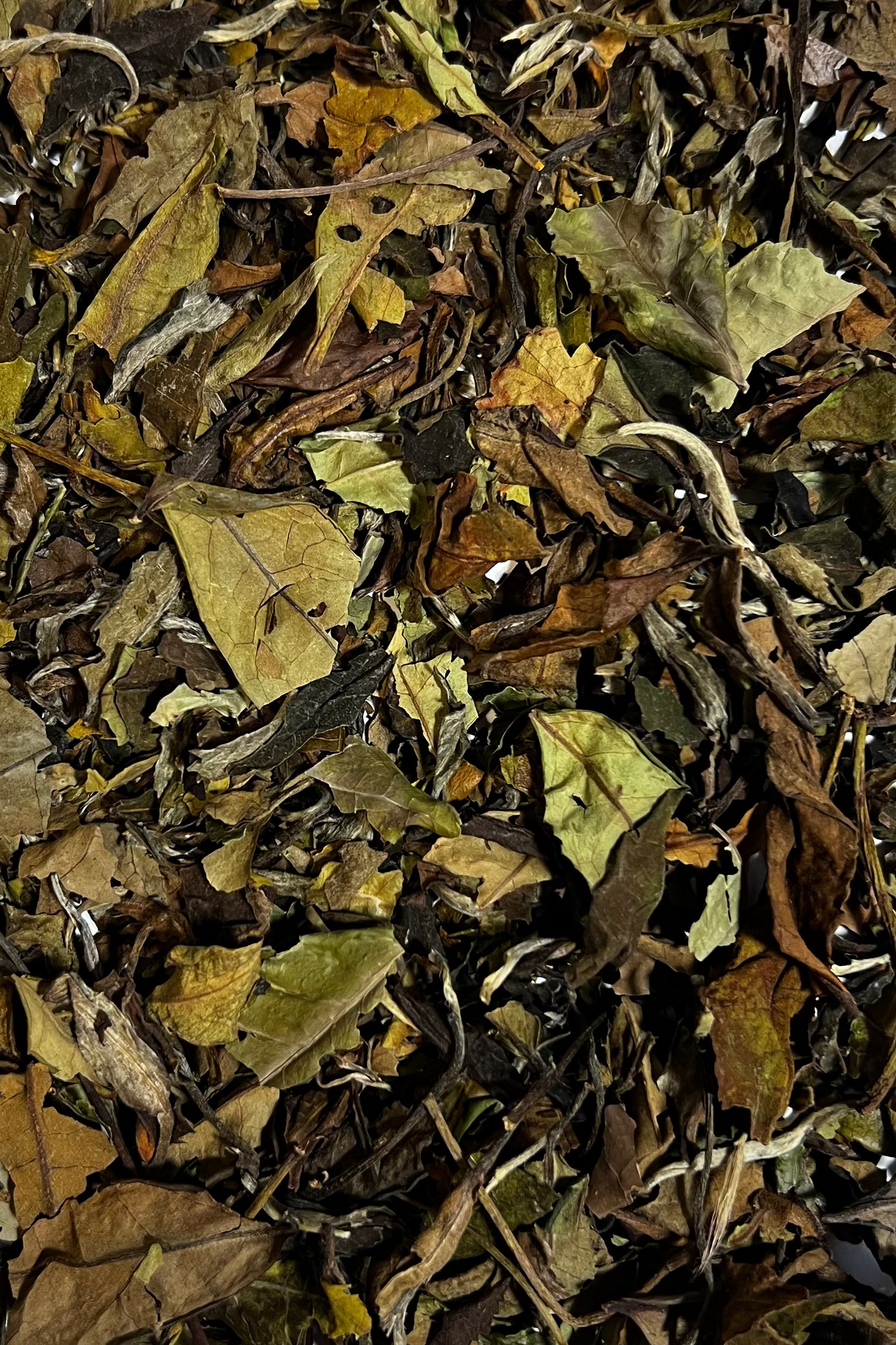 Te blanc Pai Mu Tan