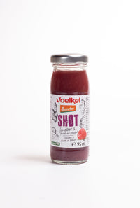 Beguda gingebre i fruits vermells 95 ml