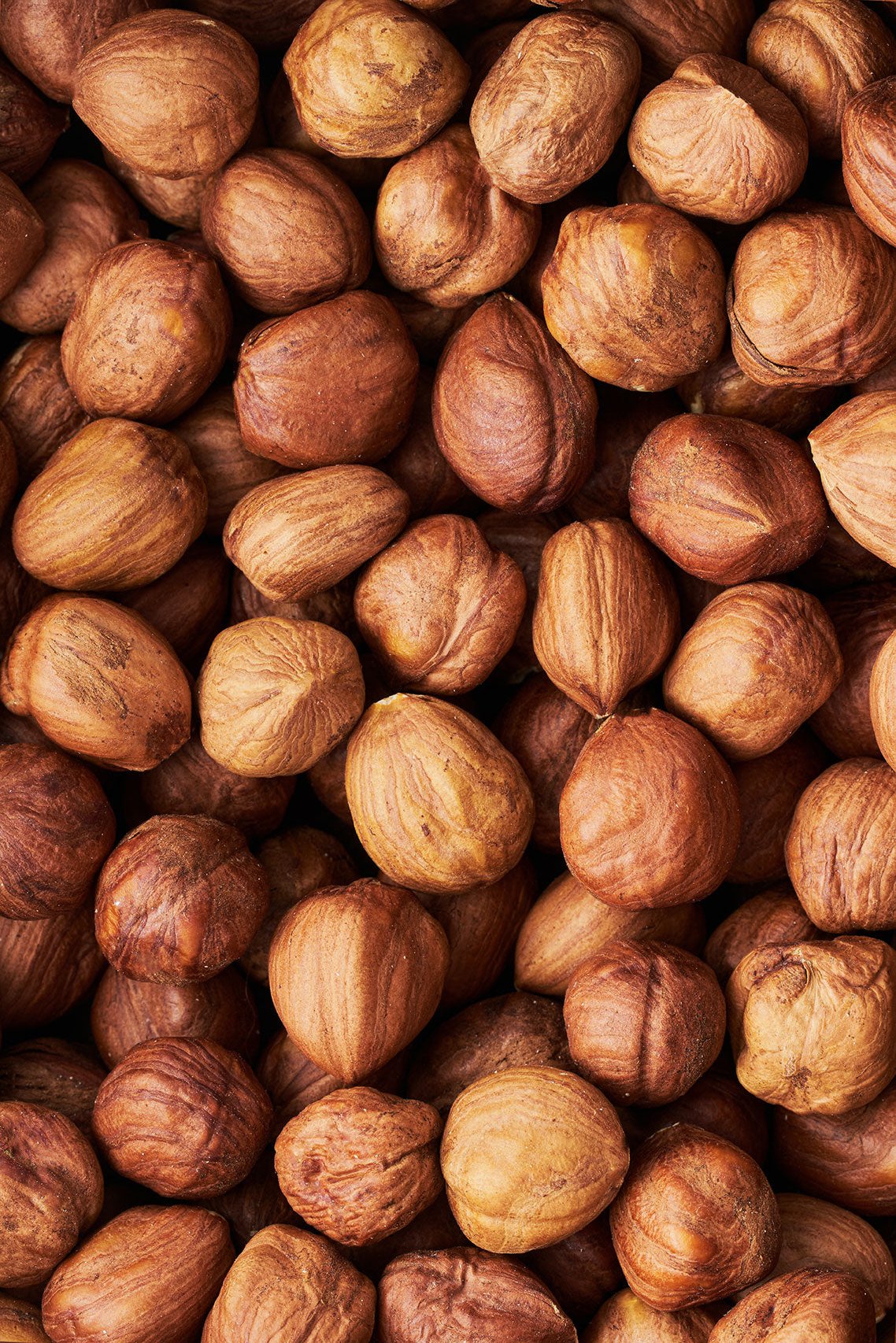 Raw hazelnut with skin from Reus