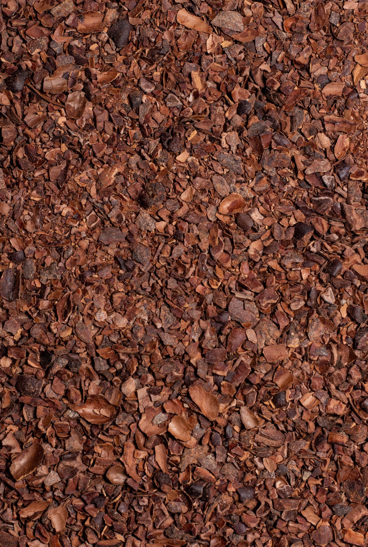 cacao molido para infusionar